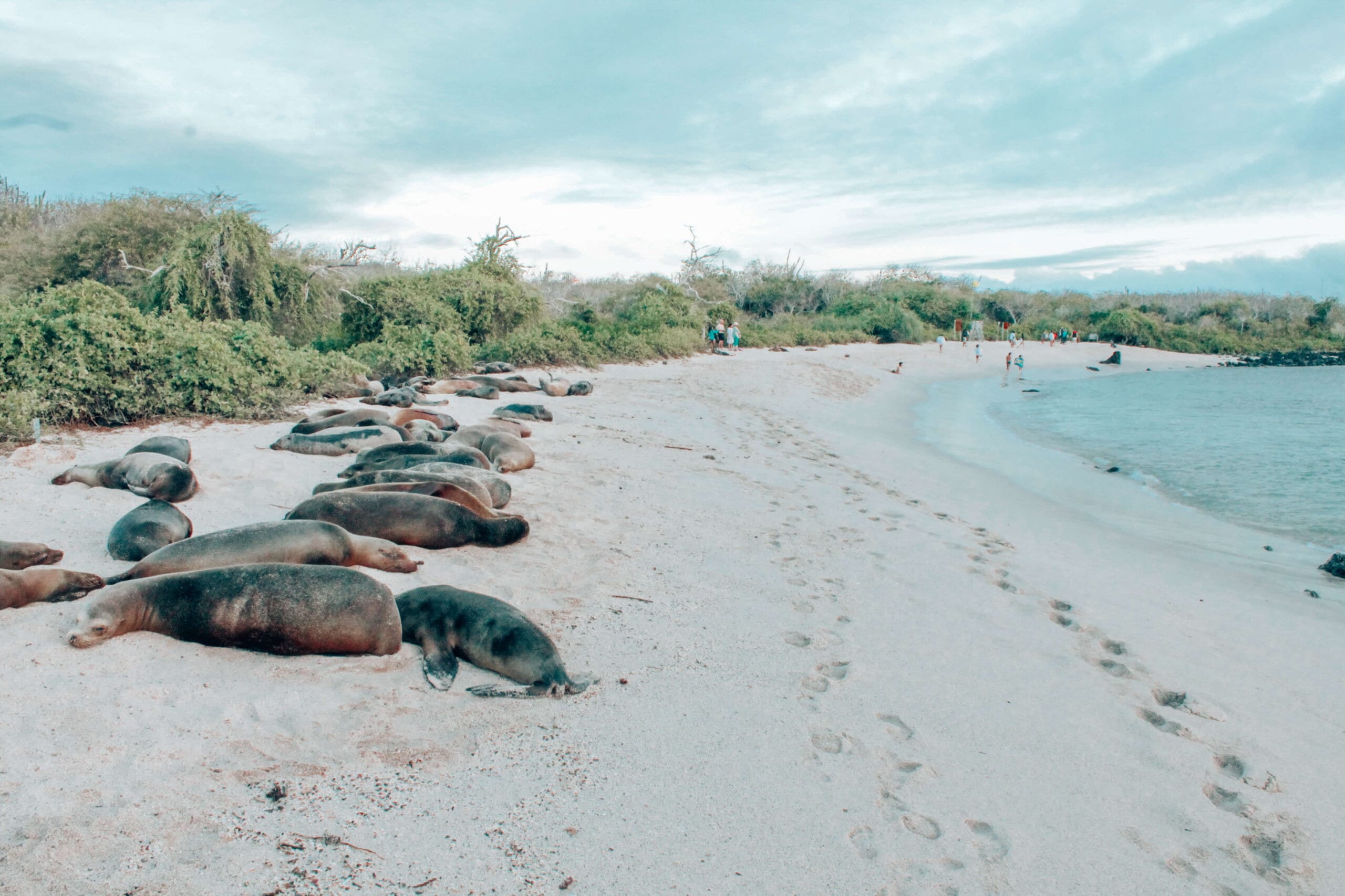 40 Things to do in Ecuador & Galapagos