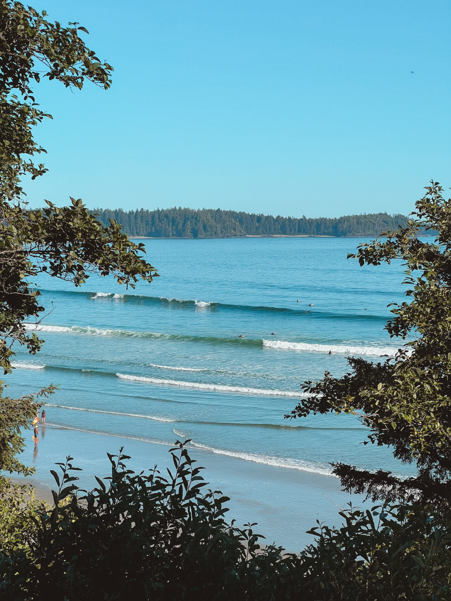 Florencia Bay peaking through the trees with small waves breaking along the shore