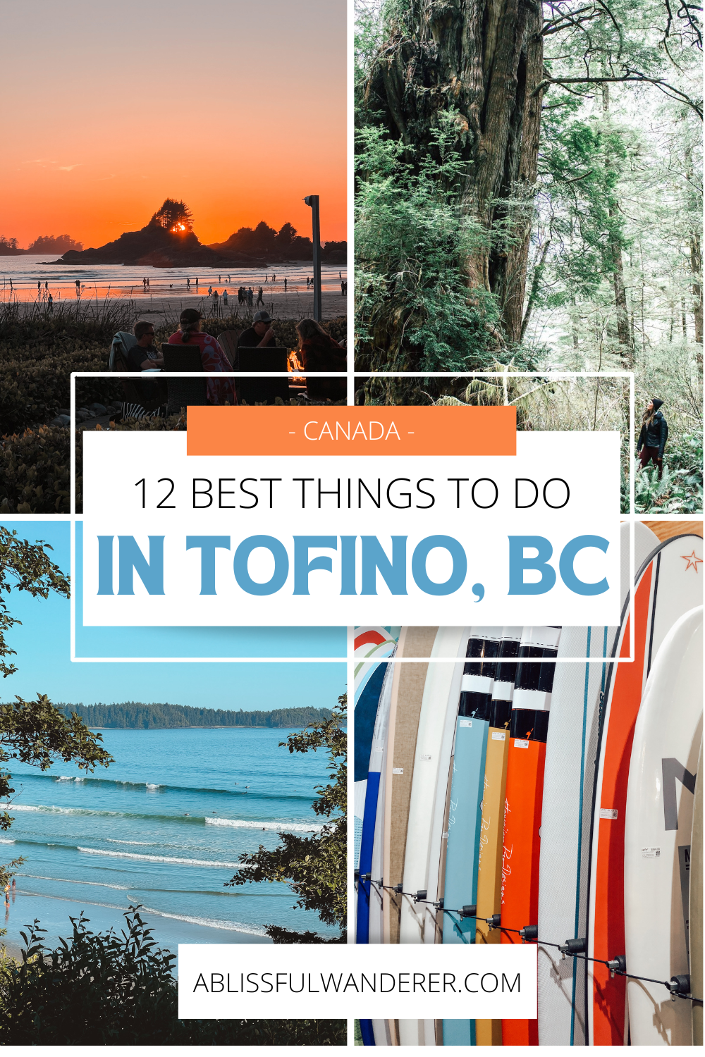 A pin on 'the 12 best things to do in Tofino, BC' with 4 photos