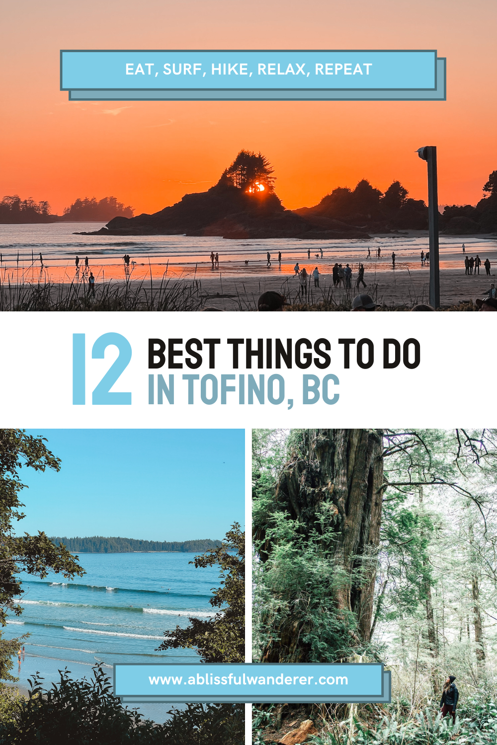 A pin on 'the 12 best things to do in Tofino, BC' with 3 photos