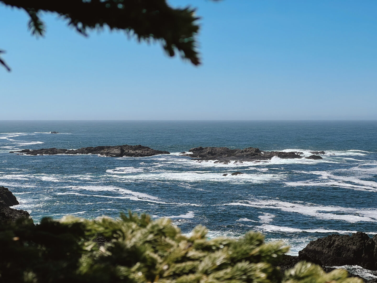 A view of the ocean from the wild pacific trail in Ucluelet. One of the best things to do in Tofino, BC 